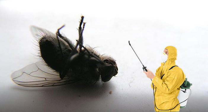 Уничтожение насекомых в Рязани
